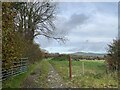 SN1127 : Farm track at Llangolman by Alan Hughes