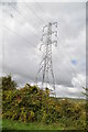 Pylon, Halling Common