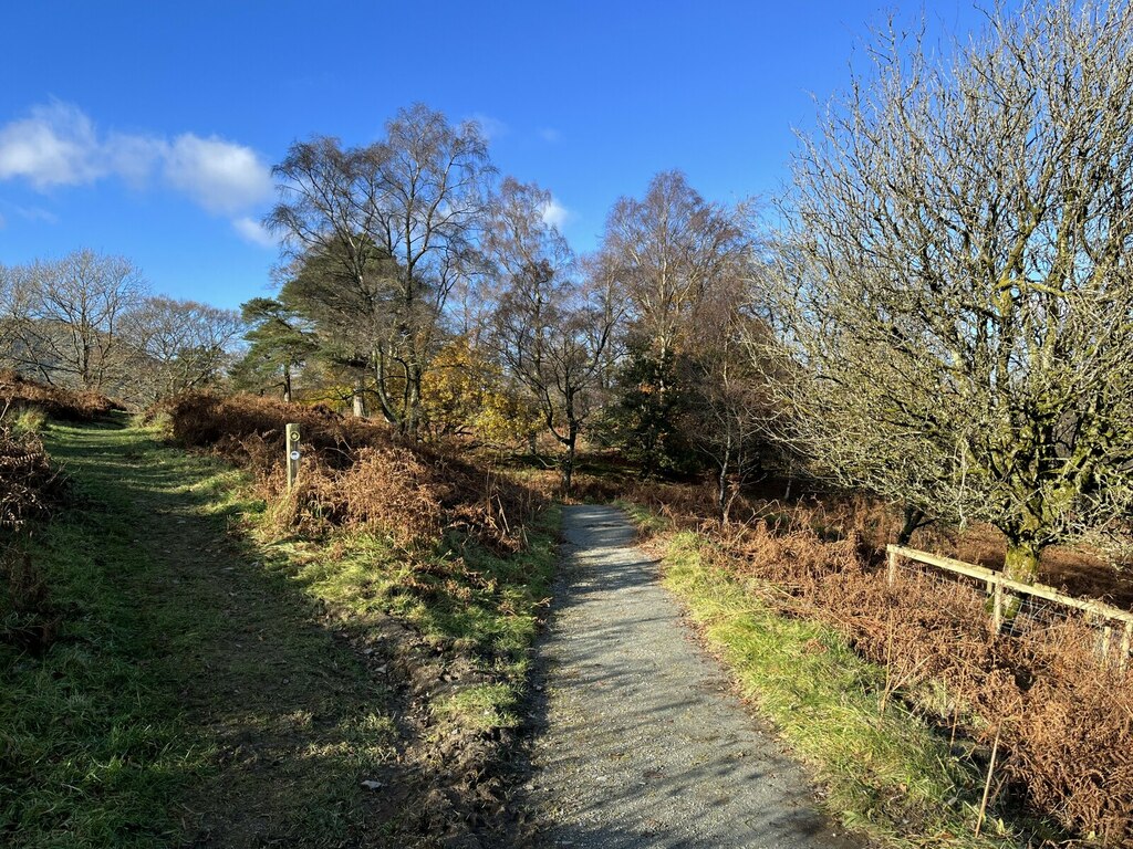 paths-at-tarn-hows-adrian-taylor-cc-by-sa-2-0-geograph-britain-and