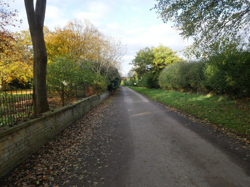 Hall Road alongside Hall Farm © David Pashley cc-by-sa/2.0 :: Geograph ...