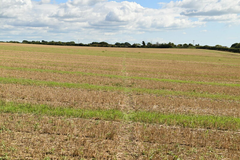 Footpath through stubble © N Chadwick cc-by-sa/2.0 :: Geograph Britain ...