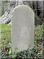 Old Boundary Marker in Ball Wood, Congresbury