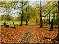 A broad path in Harehills Cemetery, Leeds