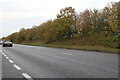 The A130, Little Waltham