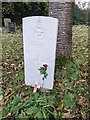 SO9975 : War grave of Flight Sergeant Cutler just after Remembrance day 2023 by Roy Hughes