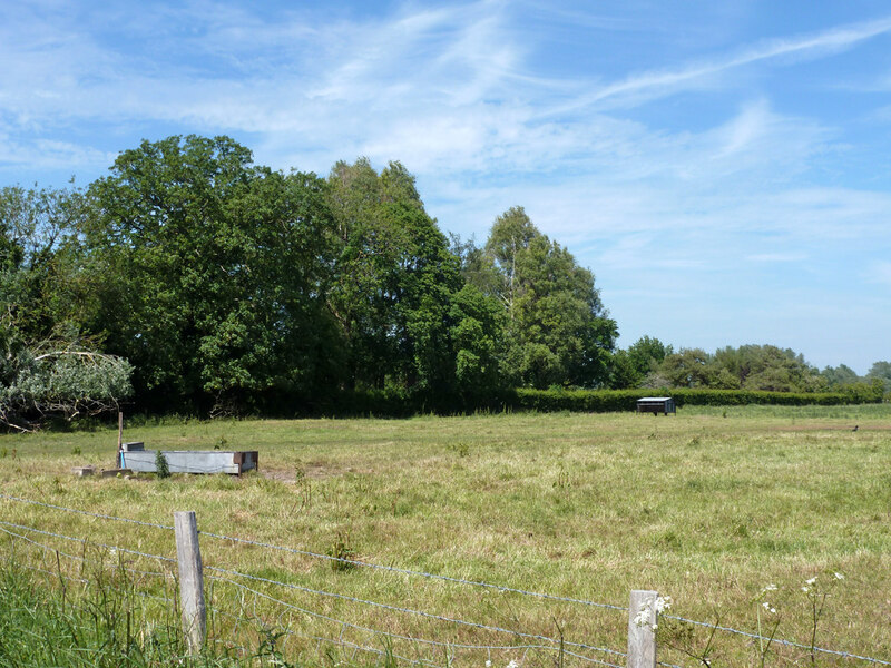 Field with water trough, Wickhambreaux © Robin Webster cc-by-sa/2.0 ...