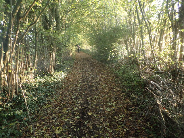 Track from Hawks Hill Lane
