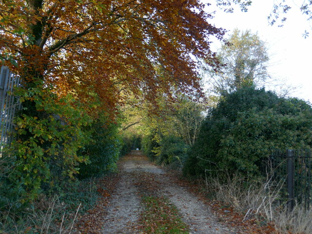 Driveway to Five Acres