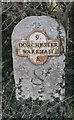 Old Milestone by the A352, Portway, Winfrith Newburgh Parish