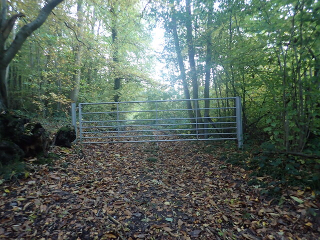 Gate in High Wood