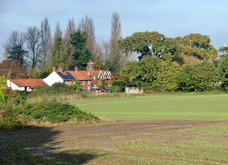 Houses In Hardley Street © Evelyn Simak Cc-by-sa/2.0 :: Geograph ...