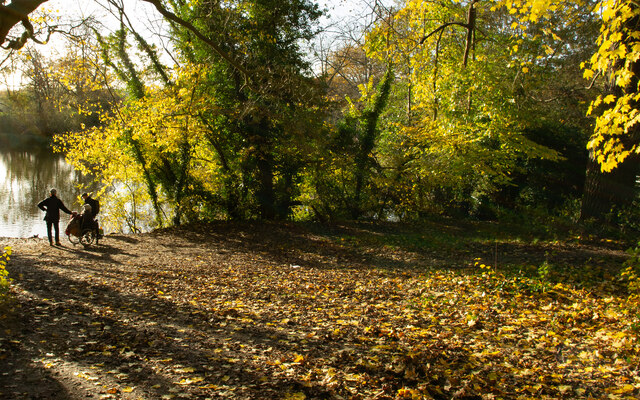 Hampstead Heath : Hampstead Pond No. 1 © Jim Osley cc-by-sa/2.0 ...