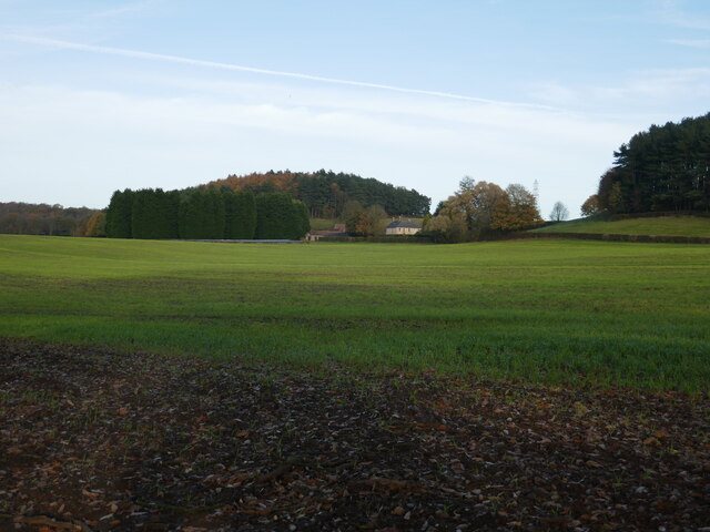 Autumn sown crop and Newstead Grange