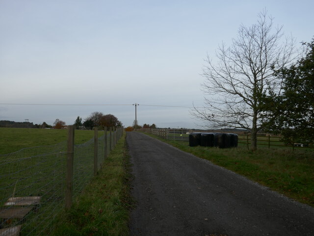 Roadway to Forest Farm