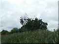 TL5670 : Wind pump on Wicken Fen by David Smith