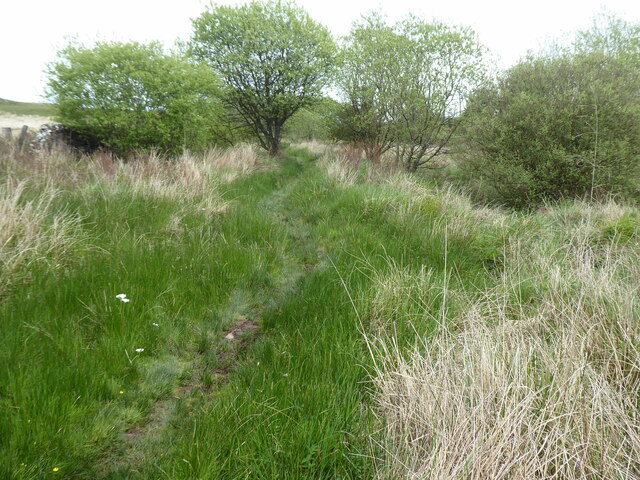 The Southern Upland Way near Glenwhan Moor