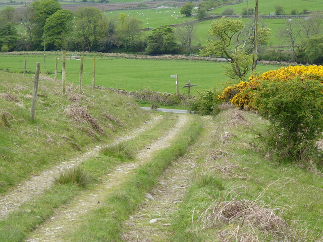 The Southern Upland Way near Knockcraven