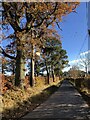 Minor road near Netherraw