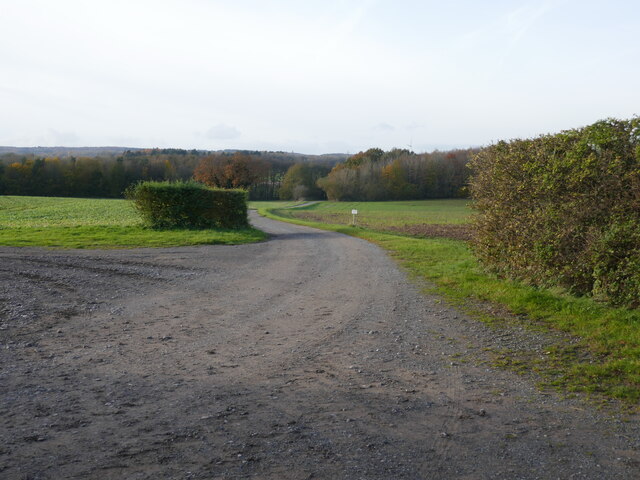 Roadway to Quarry Holes