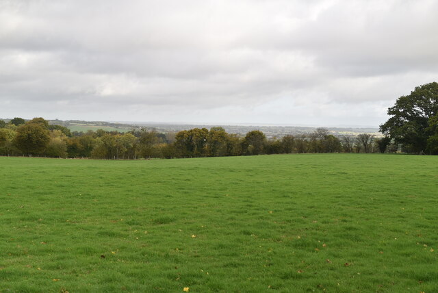 Pasture, Isle of Oxney © N Chadwick :: Geograph Britain and Ireland