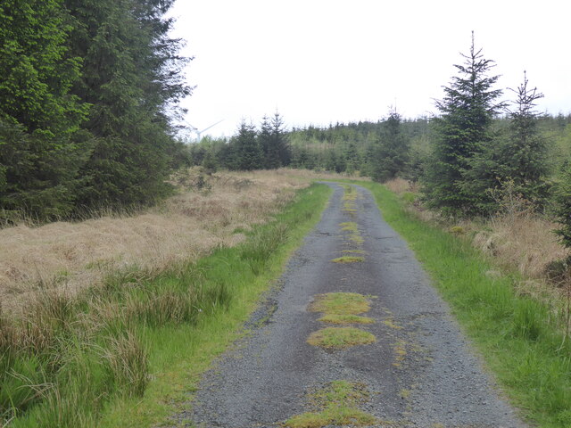 The Southern Upland Way near Drumdow