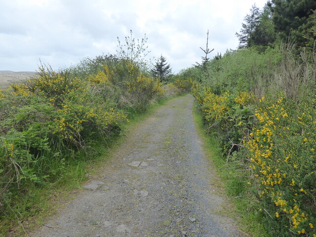 The Southern Upland Way near Knockernan