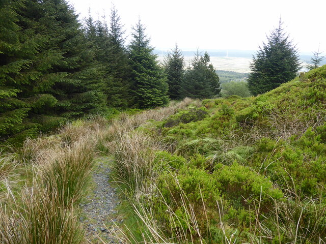 The Southern Upland Way near Craig Airie Fell
