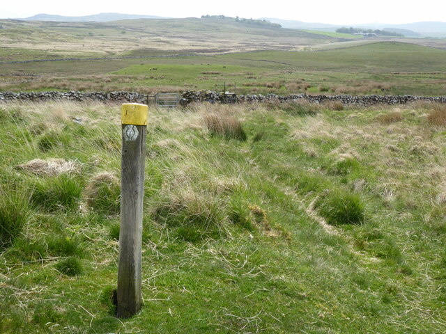 The Southern Upland Way near Knockniehourie