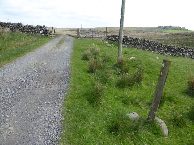 The Southern Upland Way near Kilmacfadzean