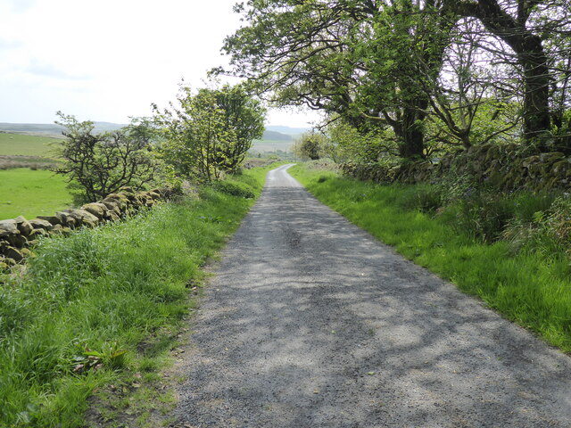 The Southern Upland Way near Balmurrie