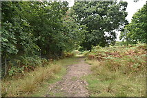 TQ5734 : Tunbridge Wells Circular Walk, Eridge Old Park by N Chadwick