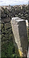 SK2765 : Old Guide Stone by UC road, Chesterfield Lane by Andrew Hardwick