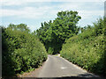 Butter Street, Nonington