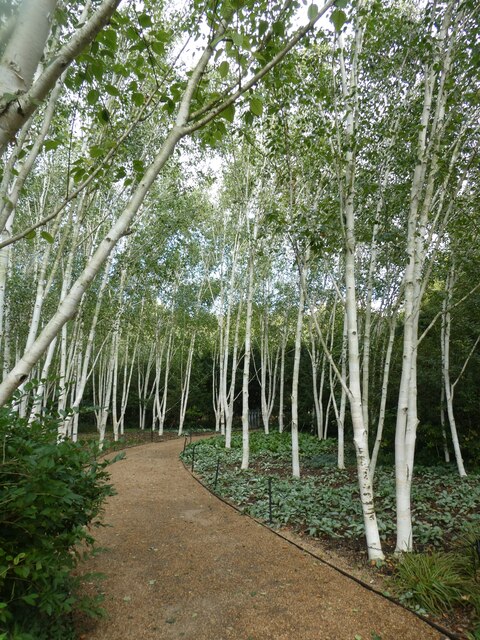 The Winter Garden, Anglesey Abbey... © David Smith cc-by-sa/2.0 ...