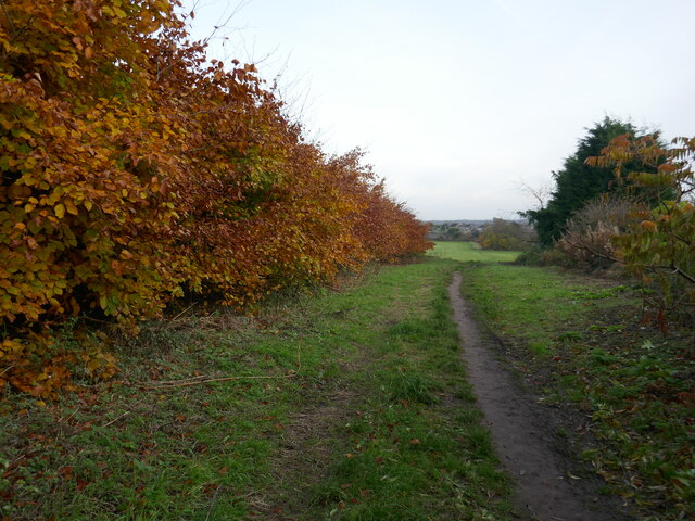 Path off Thoresby Avenue