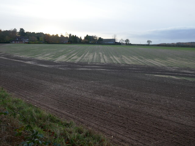 Prepared field looking towards Campfield Farm
