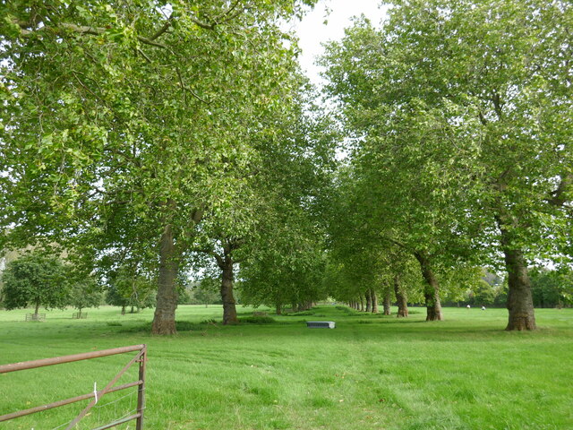 Avenue at Lower Catesby