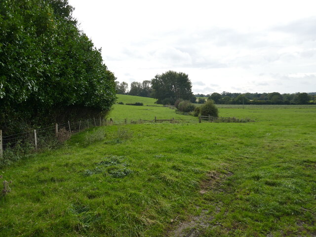 Grassland near Lower Catesby