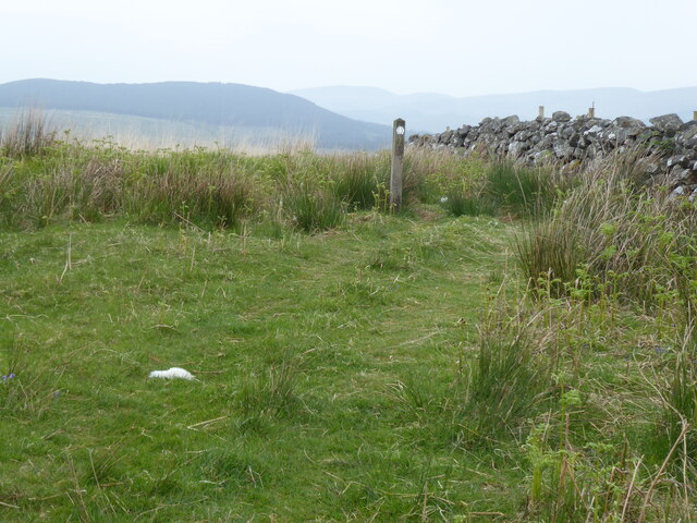 The Southern Upland Way near Butter Cairn