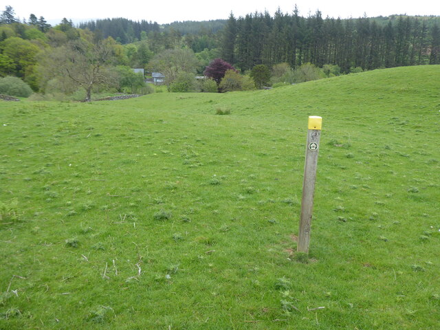 The Southern Upland Way near Bargrennan