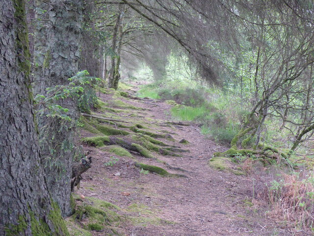 The Southern Upland Way near Bargrennan