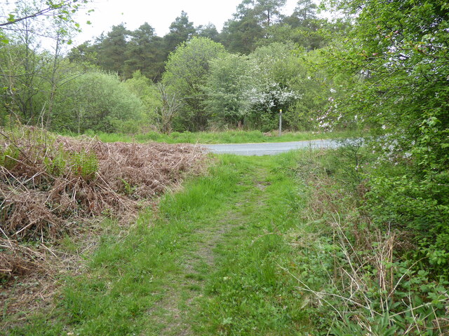 The Southern Upland Way near Bught Hill