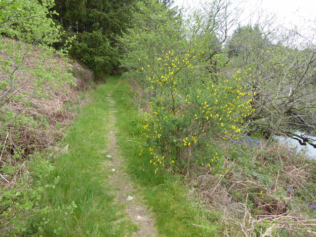 The Southern Upland Way near Drumsuir