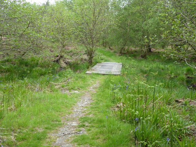 The Southern Upland Way near Drumsuir