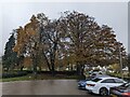 SE4817 : Autumnal trees in Wentbridge by Bob Harvey