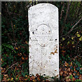 Old Milestone north of Yetminster