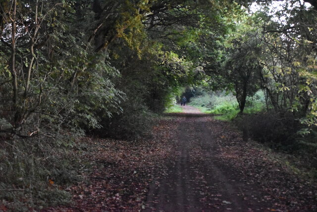 Cuckoo Trail