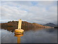 NS4089 : Buoy, Loch Lomond by Richard Webb
