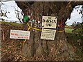 SJ4613 : Adornments and signs on the Darwin Oak, Shelton by TCExplorer