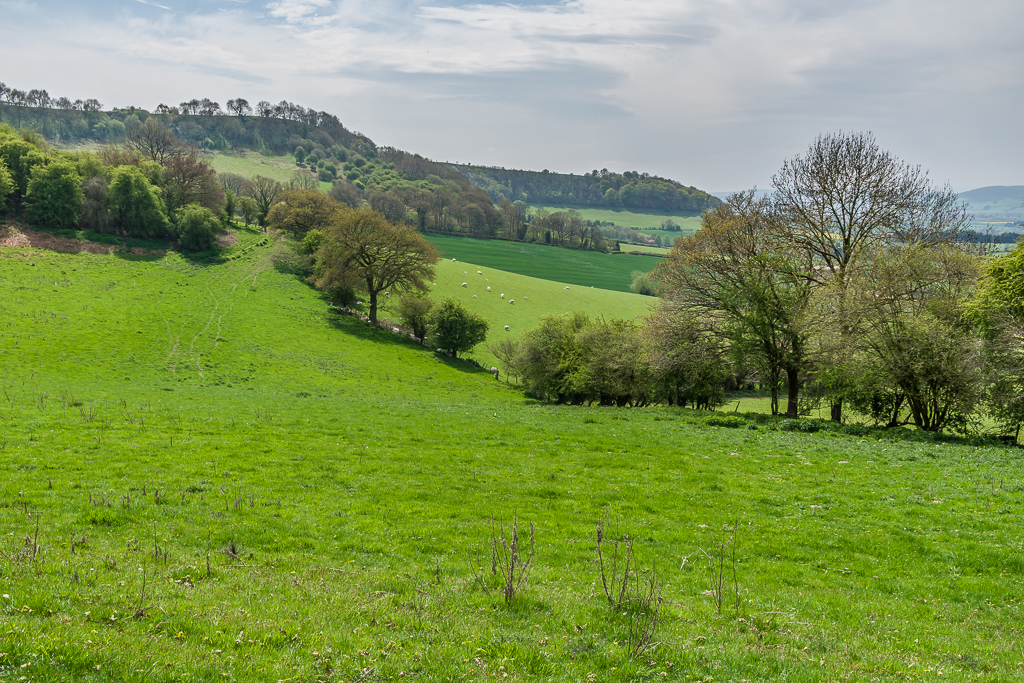 Below View Wood © Ian Capper cc-by-sa/2.0 :: Geograph Britain and Ireland